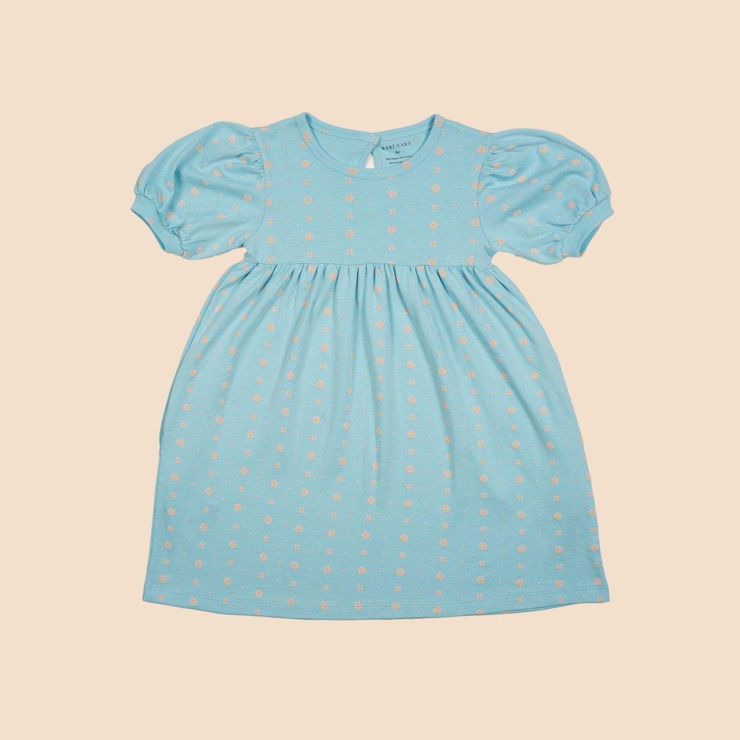 Aishu Dress